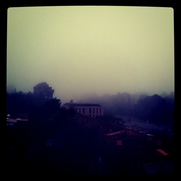 foggy morning