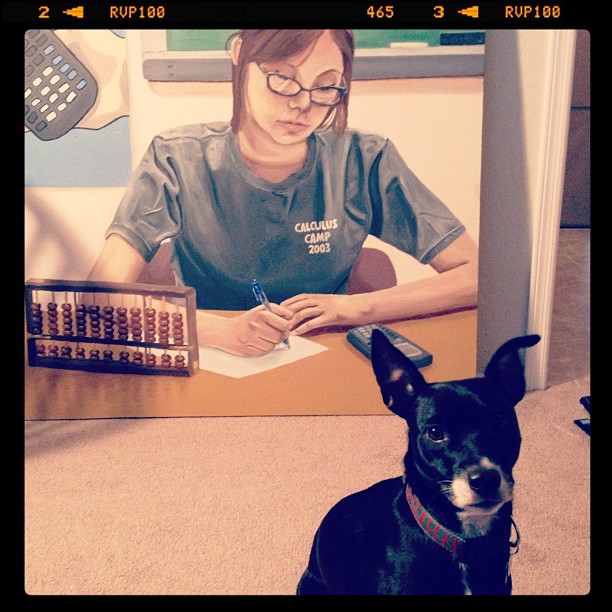 small black dog in front of a painting of a woman doing math