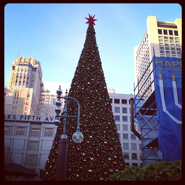 giant outdoor Christmas tree