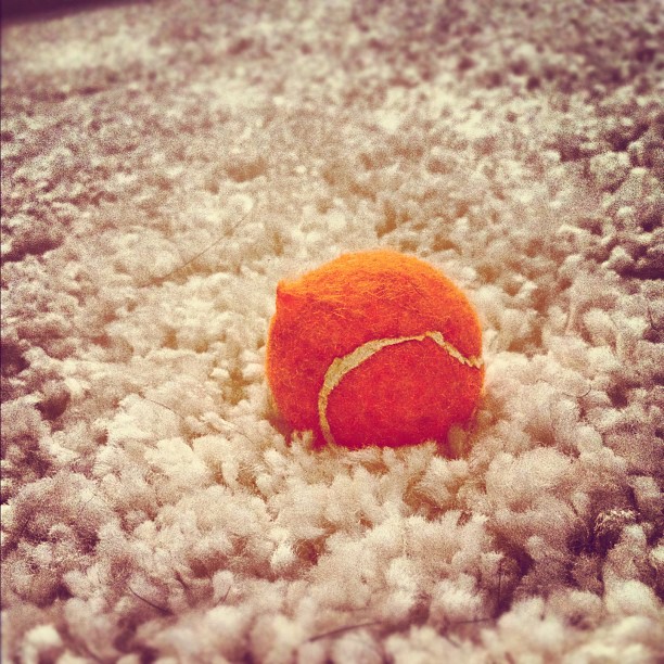 small orange tennis ball on a rug