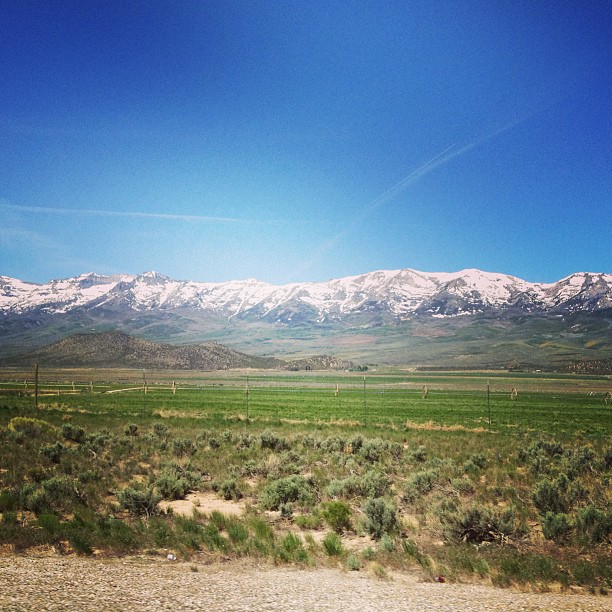 brushy flatland with snowy mountains in the background