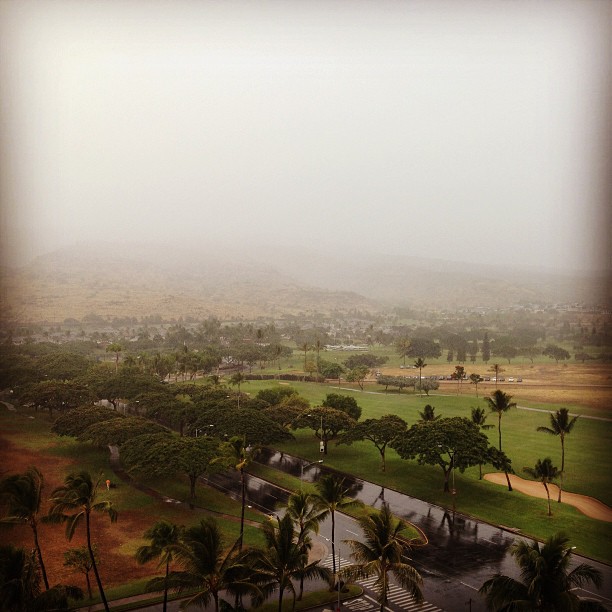 foggy view of Hawaiian landscape