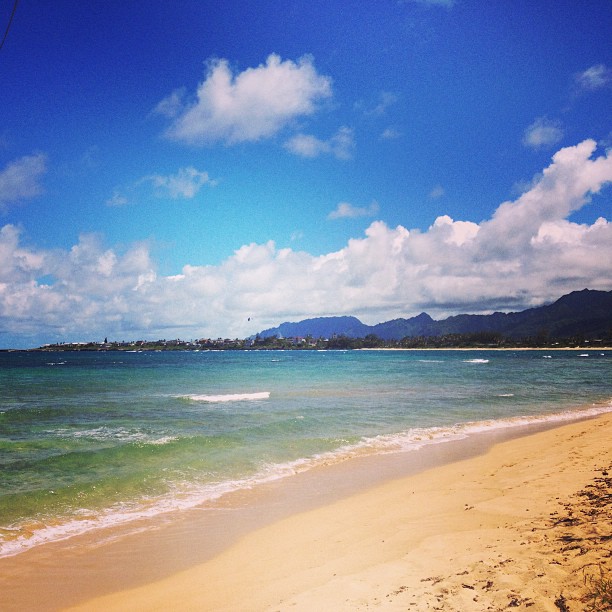 sunny and blue beach waves