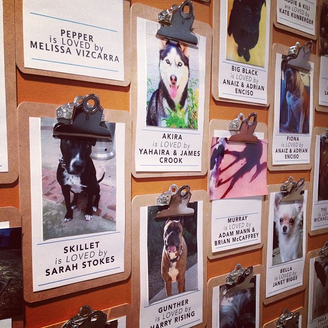 wall of clipboards, each with a picture of a cute dog