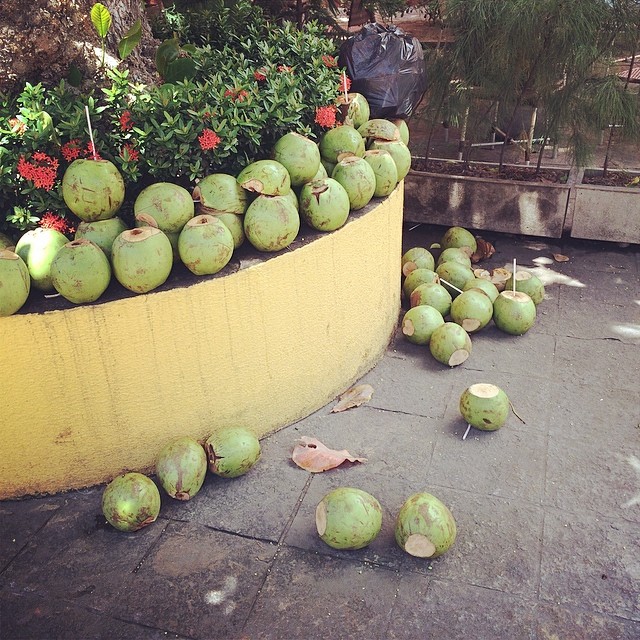 stacks of leftover coconut drinks