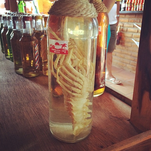 bottle of liquor with a whole lobster inside it