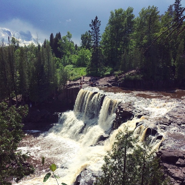 cool waterfall amongst pine tree forest