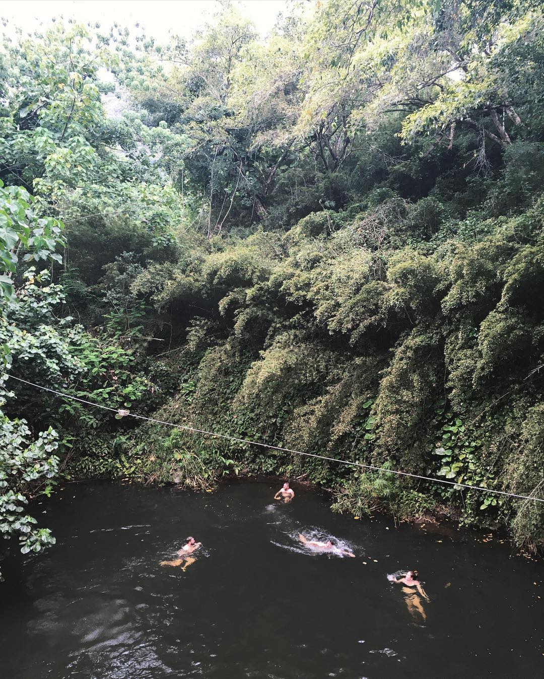 folks swimming in a pool surrounded by jungle