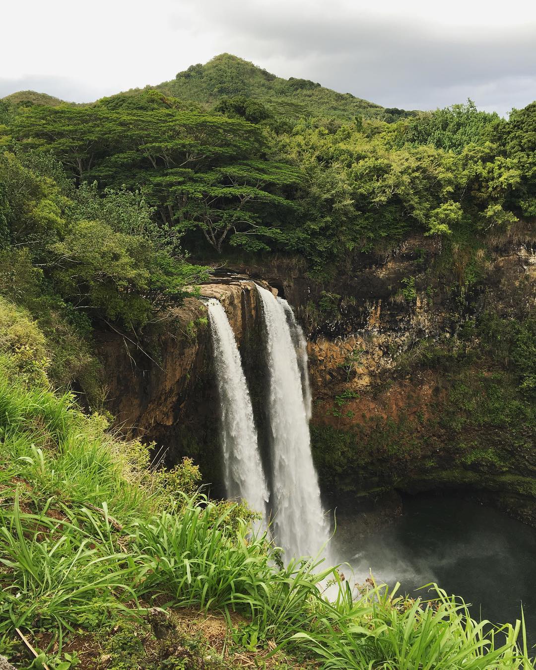 waterfall surrounded by greenery