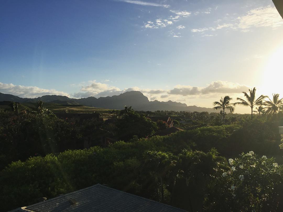 sunrise over Hawaiian trees and mountains