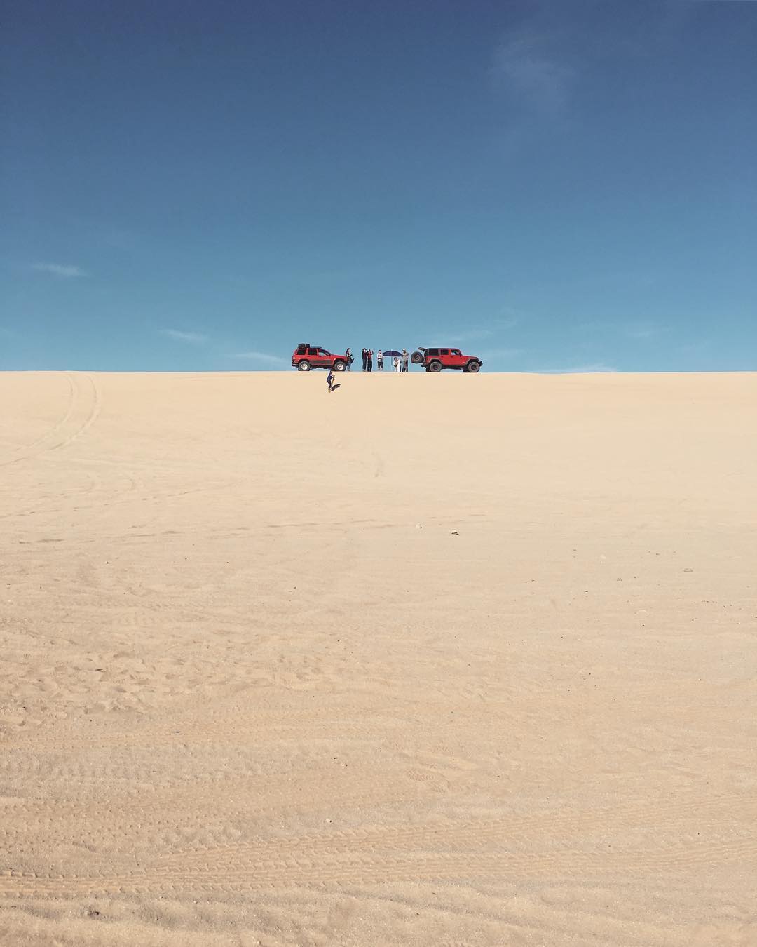 up a tall sand dune, two red jeeps are parked and a person is boarding down the hill