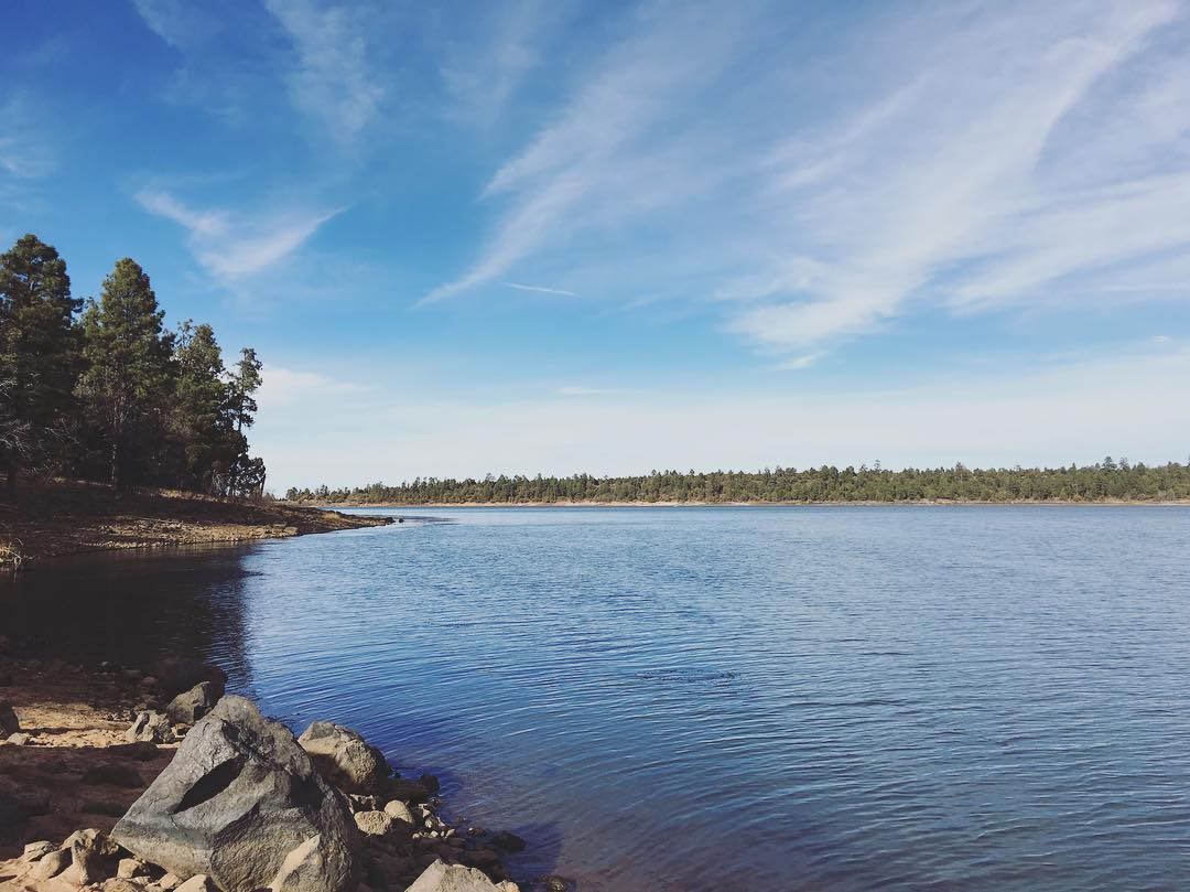 empty lake surrounded by pine trees