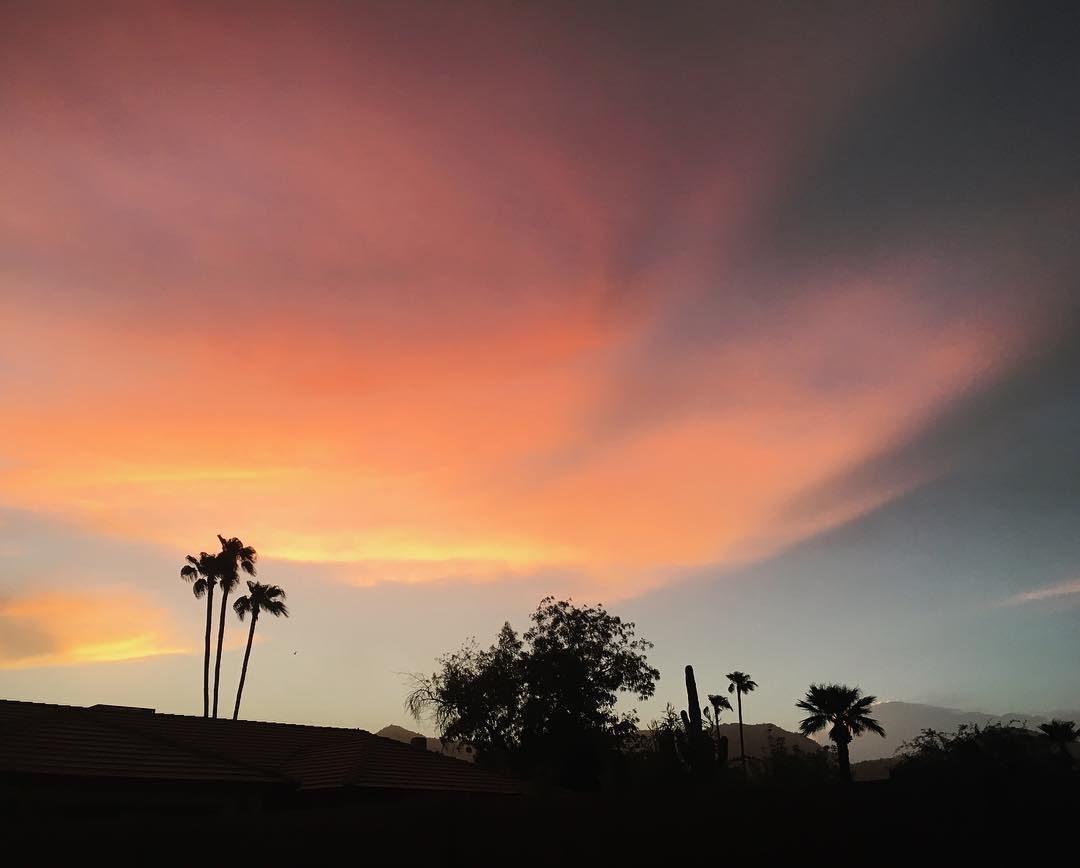 pink and gold whispy clouds above the silhouette of palm trees and rooftops