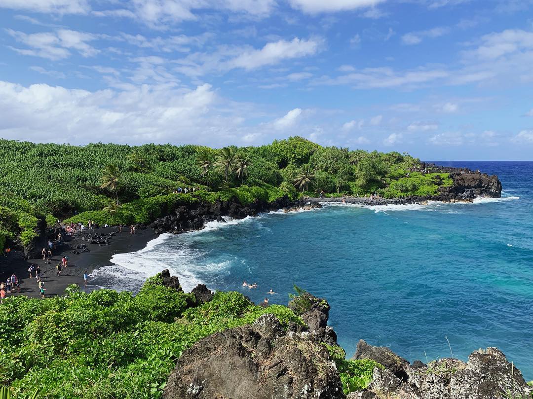 cove with black sand beach surrounded by lush greenery