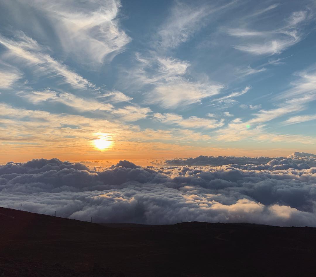 sun setting above a layer of fluffy clouds