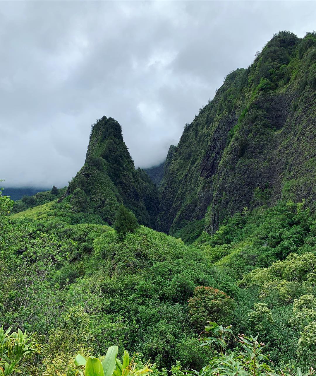 lush green mountains